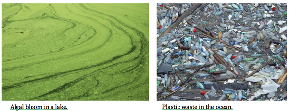 Algai bloom in a lake and Plastic waste in the ocean