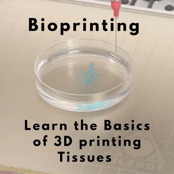 Learn about 3D Bioprinting