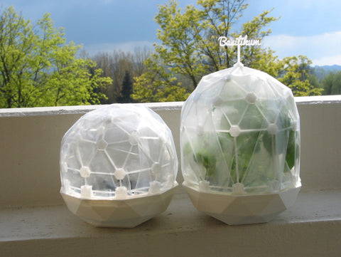 Flexible Mini Greenhouse