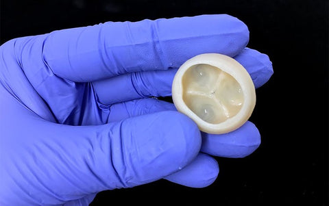 bioprinted heart valve