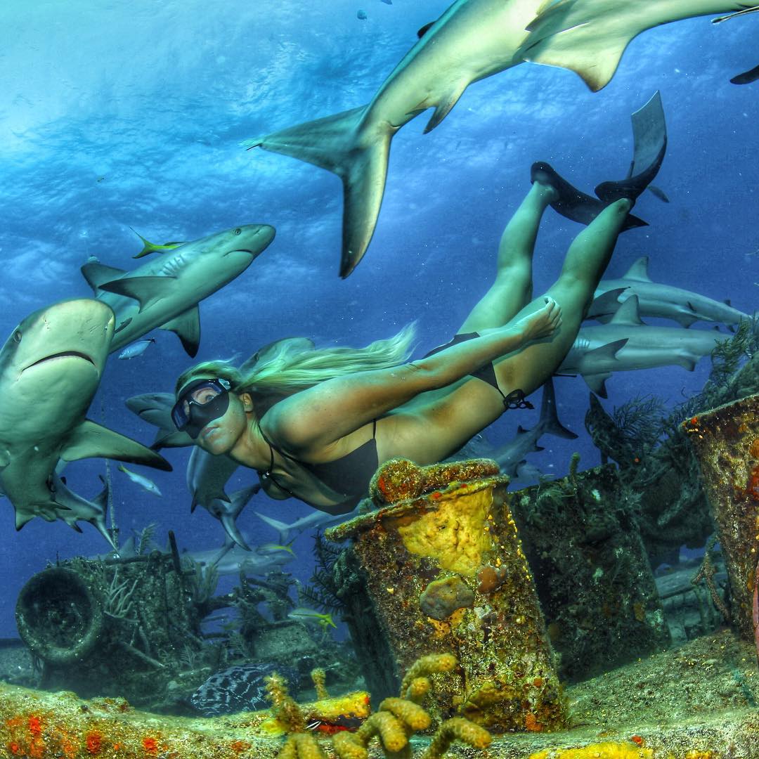 GoPro Photos - Shark Diving - GoWorx
