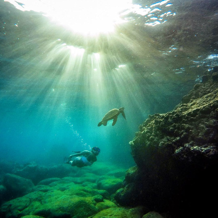 GoPro Photos - Diving Sea Turtle in Hawaii - GoWorx