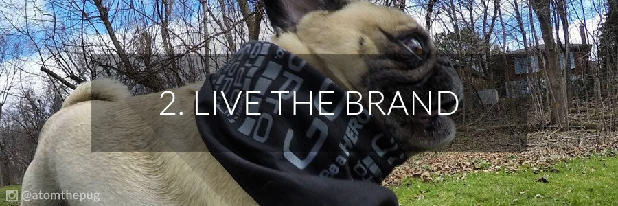 Atom the Pug - GoPro Family Member