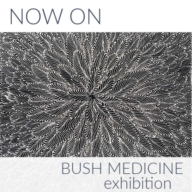 Now On: Bush Medicine Exhibition