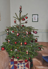 Familie_Adam_Weihnachtsbaum_Gustaafs_Flora