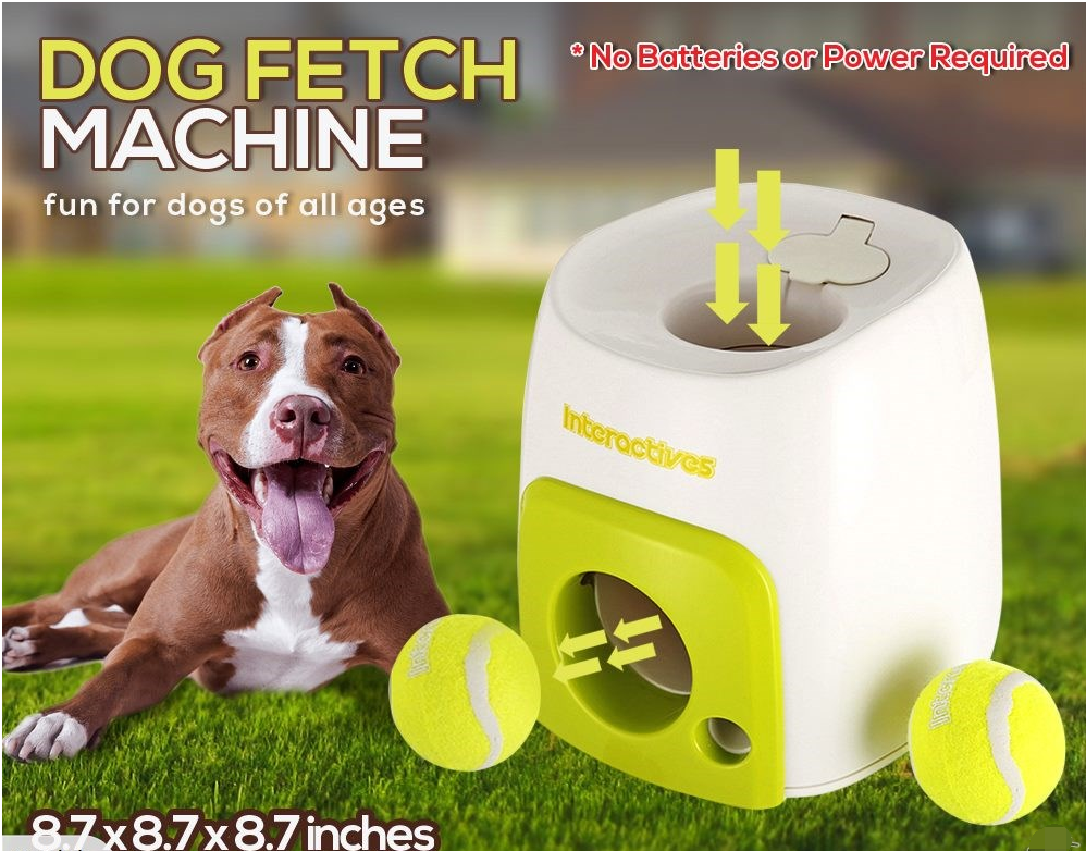 fetch machine