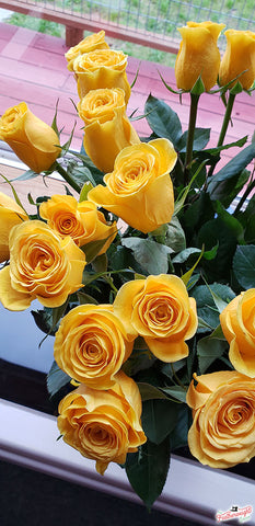 Roses for Burl and Rebekah