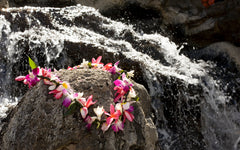 flower lei