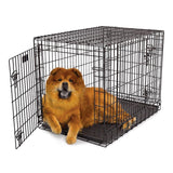 Dog Crate Sizes