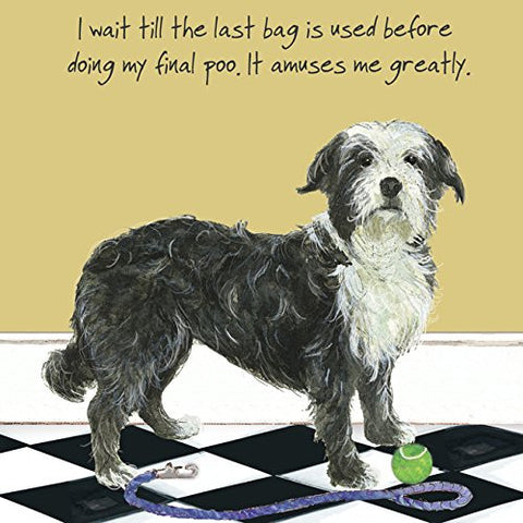 FUNNY DOG BLANK or Birthday card - POO BAG