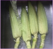 grilled Corn on the cob 4