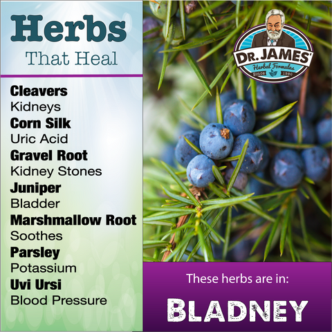 Herbs that Heal: Bladney