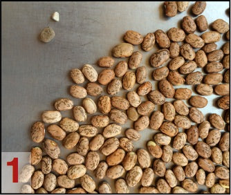 Crockpot Pinto Beans image 1