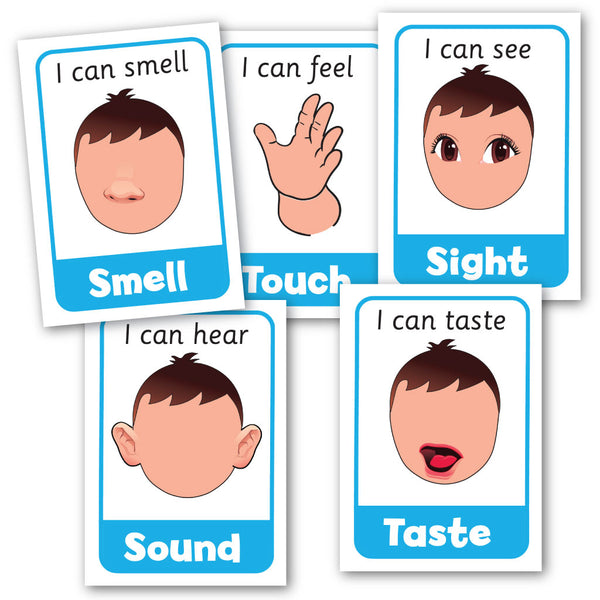 five-senses-posters-smart-kids-nz