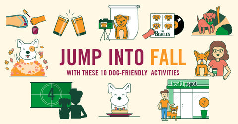 10-Things-To-Do-With-Your-Pup-This-Fall-Healthy-Spot