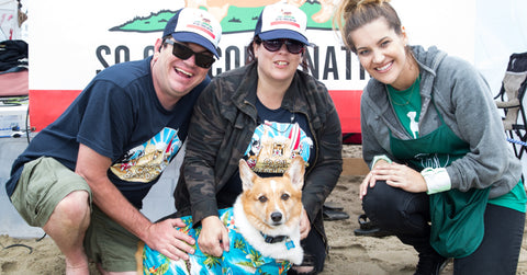 Corgi-Beach-Day-April-2018