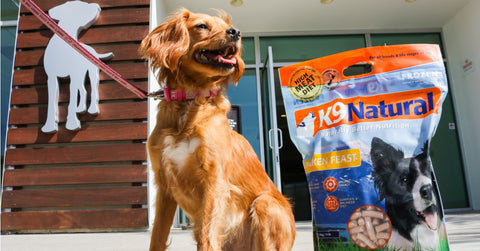 Fantastic-Raw-Food-Brand-K9-Natural-Safe-For-Dogs
