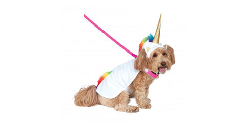Rubie's-Unicorn-Dog-Costume-Popular-At-Healthy-Spot