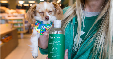Healthy-Spot-Earth-Day-Eco-Friendly-Products-Shampoo-For-Dogs-Pure-And-Good