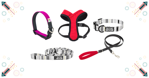 20%_Off_all_Collars_leashes_Harnesses_at_Healthy_Spot_July_Promos