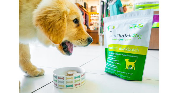 Smallbatch-Healthy-Spot-Pet-Store-LA-Los-Angeles