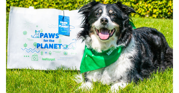 Earth-Day-2019-Tote-Bag-Paws-For-The-Planet
