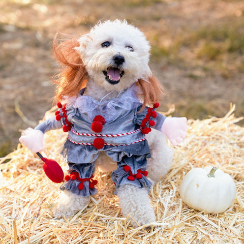 The Best Dog Halloween Costumes for All Kinds of Pups, from Big to
