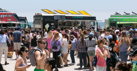 Corgi-Beach-Day-Crowd