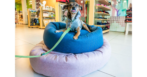 Dog-Beds-Bed-For-Dogs-Los Angeles