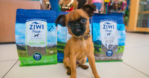 Ziwi-on-Sale-At-healthy-Spot-Los-Angeles