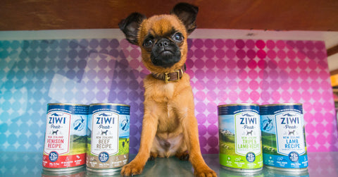 Ziwi-Cans-On-Sale-At-Healthy-Spot