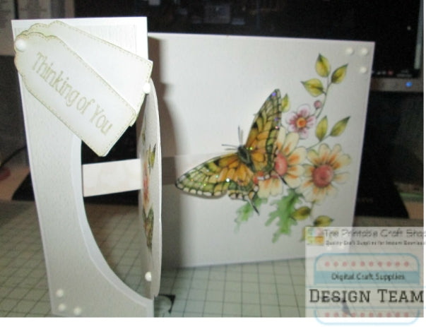 Inside of the Butterfly Slider Card