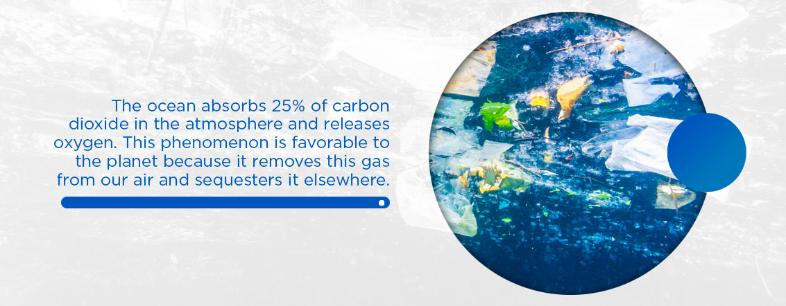 ocean absorbs 25% of carbon dioxide