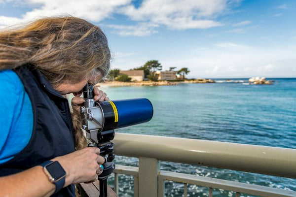 Monterey Bay Aquarium keeping watch for injured or ill southern sea otters