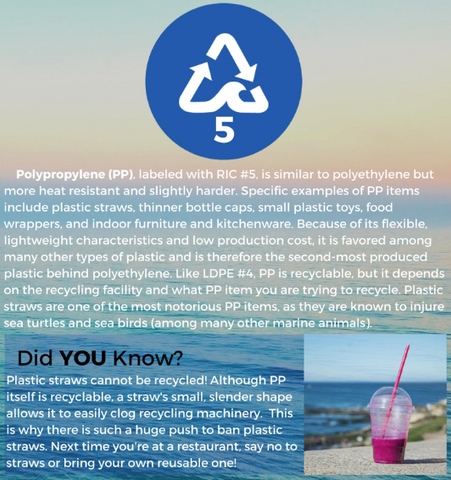 4ocean Education - Polypropylene