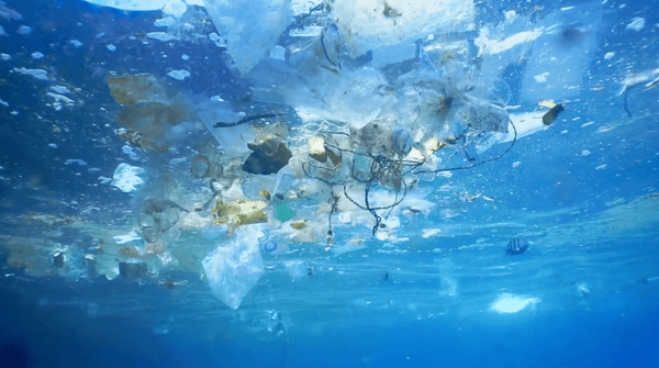 4ocean Looks at Plastic in the Ocean