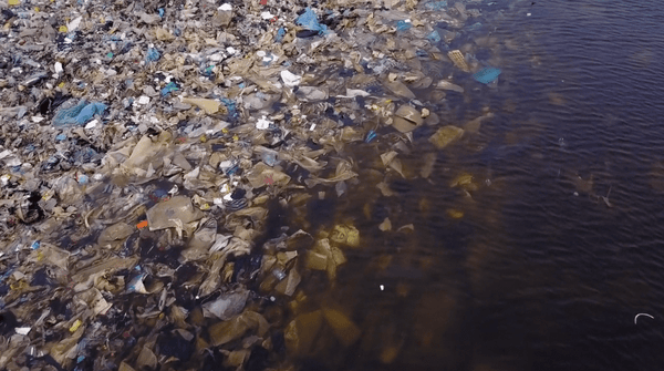 4ocean Looks at Ocean Plastic Pollution