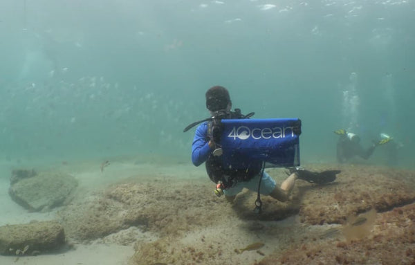 4ocean Attends Guinness World Record Largest Underwater Cleanup