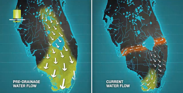 Historic vs. Current Water Flow in the Everglades