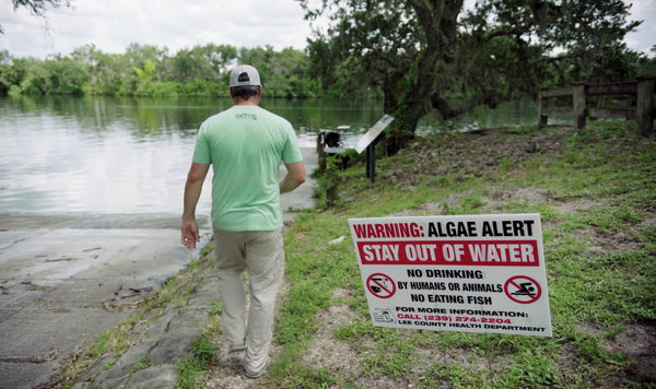 Toxic Blue-Green Algae in Florida Waterway - 4ocean Everglades Bracelet