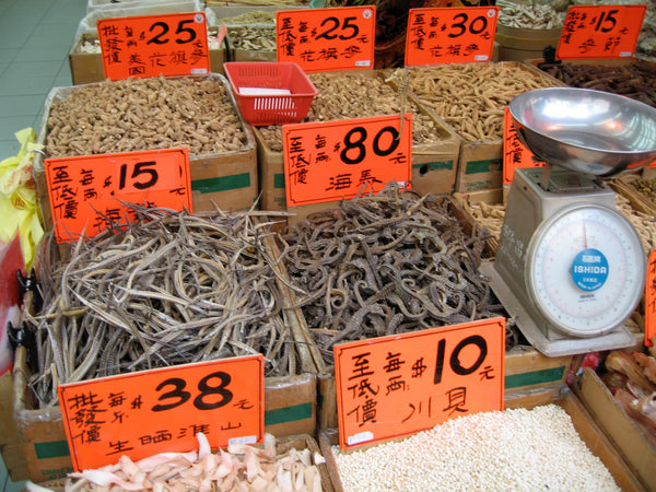 Dried Pipefish and Seahorse in Hong Kong Market - Project Seahorse - 4ocean Seahorse Bracelet