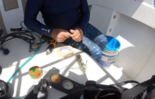 4ocean and Guy Harvey Ocean Foundation Tracking Whale Sharks