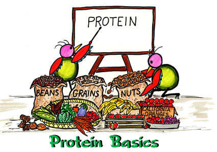 Power of the PROTEIN