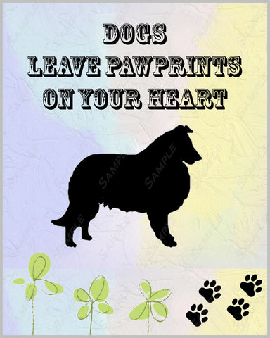 Collie Dog Collie Art 8 X 10 Print Collie Pet Gifts