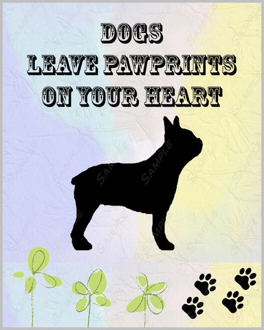 Personalized Boston Terrier Dog Boston Terrier Art Print 8 X 10 Print Boston Terrier Pet Gifts
