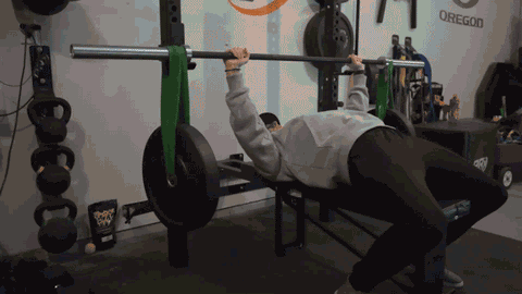 PRx-Performance-Earthquake-Barbell-Bench-Press