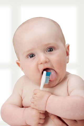 Chewing on a Toothbrush