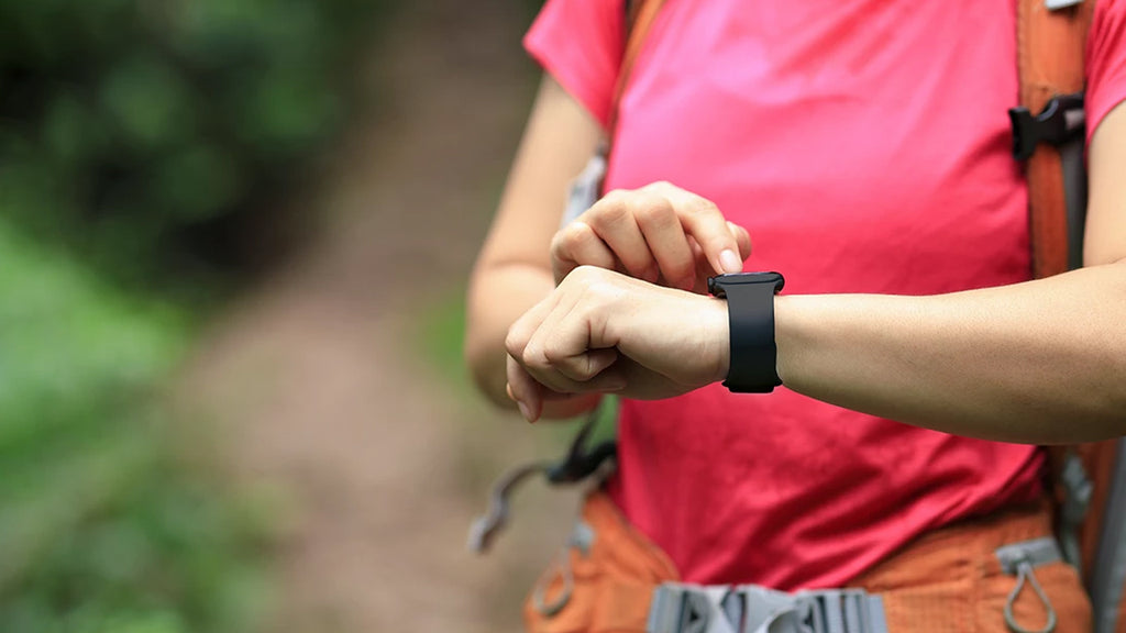 Smartwatch while Travelling