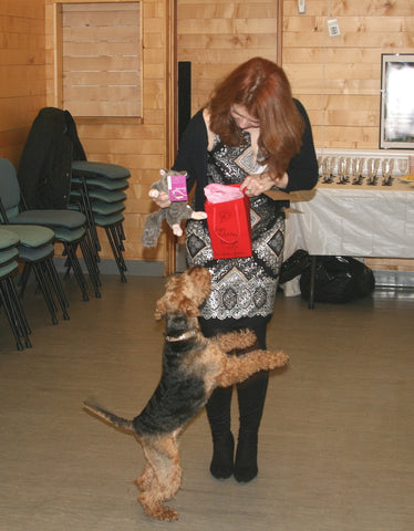 Bronwyn the dog getting a birthday present