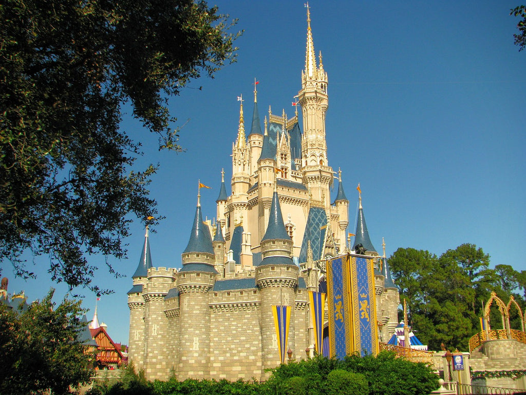 Disney World Summer Vacation